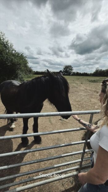 Full leaked Janet devlin private onlyfans photo
