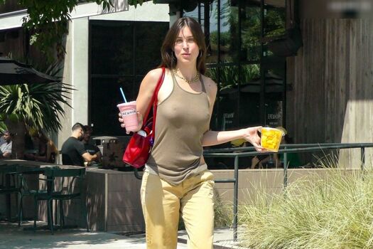 Scout Willis